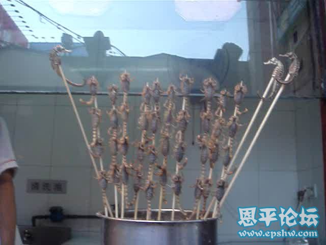 20100204125422.jpg