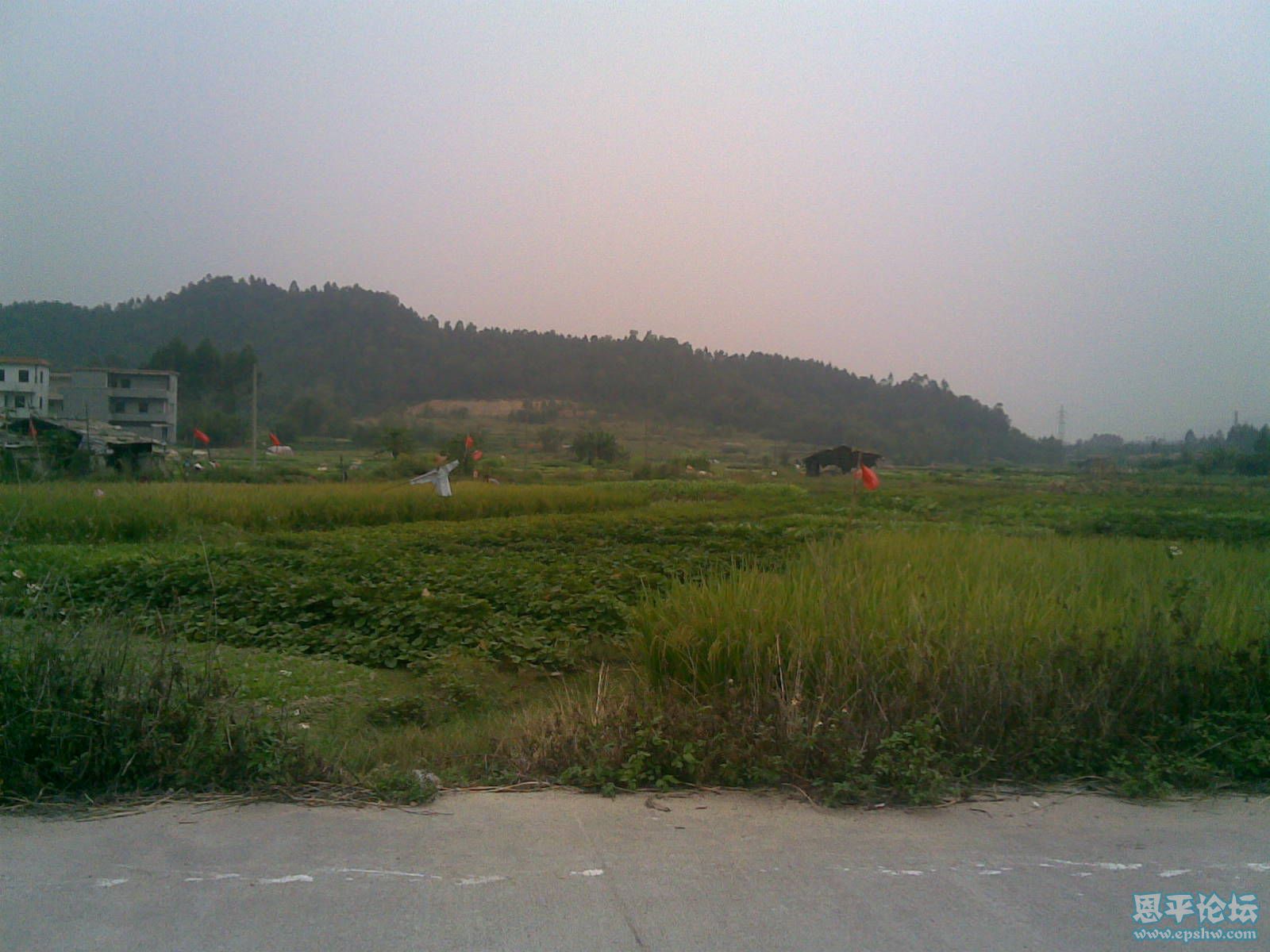 20111106(008).jpg